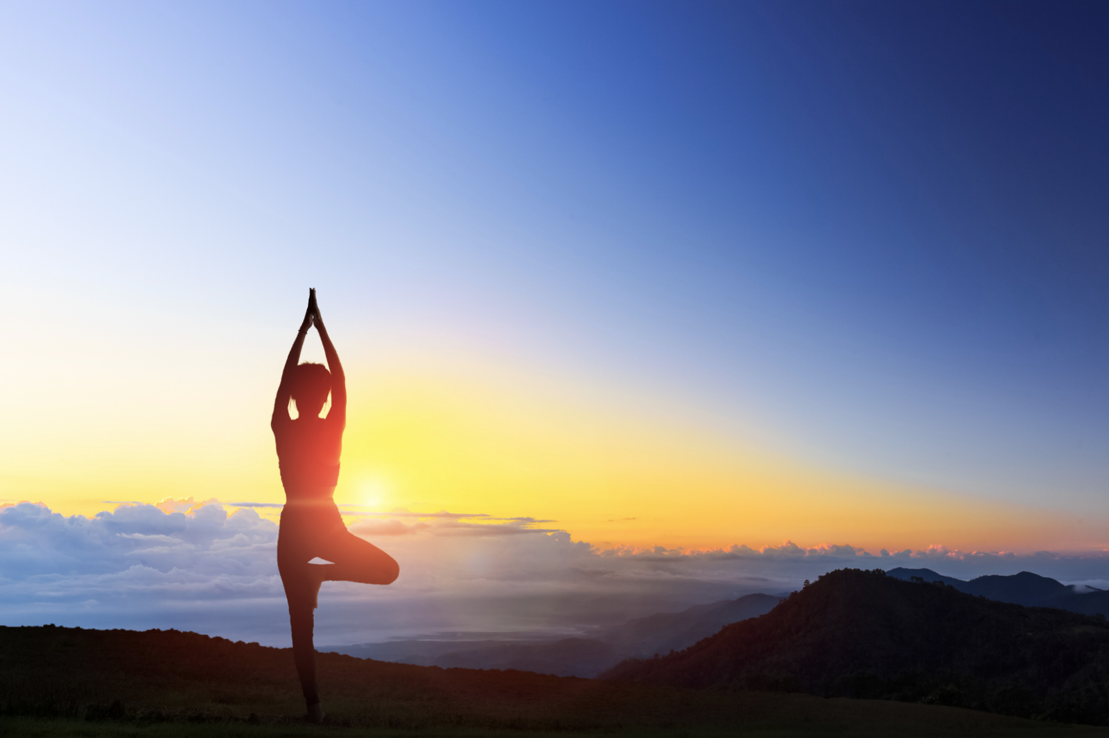align and elevate yoga teacher training